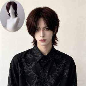 Wig Mens Short Hair Mullet Head Hairstyle Japanese Fluffy Wolf Tail Medium Long Hair Full Headgear