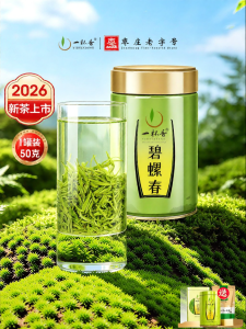 YIBEIXIANG | Fragrant Biluochun Tea 50g