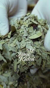 Teh Pelangsing Daun Jati Cina & Senna: Manfaat dan Cara Penggunaan