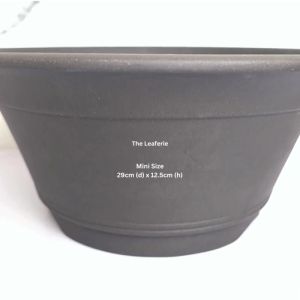 The Leaferie Bonsai Pot (Series 36) 2 sizes . Big Plant pot . Zisha . Flowerpot . Purple Sand Planter. Flower pots