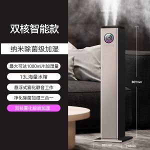 Double-Core Floor-Mounted Humidifier for Home Use Bedroom Quiet Purification Large Capacity Antibacterial Nano Fogging