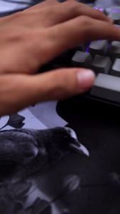 E-YOOSO Z-686 Wired Mechanical Gaming Keyboard 68key RGB Gaming For PC/Laptop