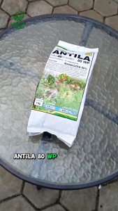 FUNGISIDA ANTILA 80WP 1 KG Mancozeb Obat Pengendali Penyakit Jamur Patek Lodoh Pada Tanaman