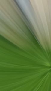 VERSKI Zelyn Sandal Wanita Sendal Slop Wanita Slipper Rumah Sandal Slip-On Sendal Rumah Sandal Rumah Anti Slip Sendal Jelly