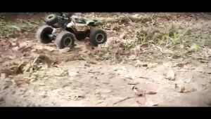 Best Gift for Kids: 1:8 Scale RC Truck & 4WD Off-Road Vehicle