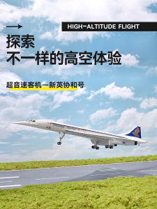 Supersonic Concorde Aircraft Model Simulation Aviation Model Childrens Gift Display Model Head Can Move Plastic Material
