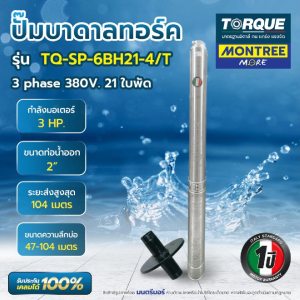 ปั๊มบาดาล STL 3สาย 3HP 21ใบพัด 2" TORQUE TQ-SP-6BH21-4/T พร้อมฝาปิดบ่อ  จำหน่ายโดย MontreeMore
