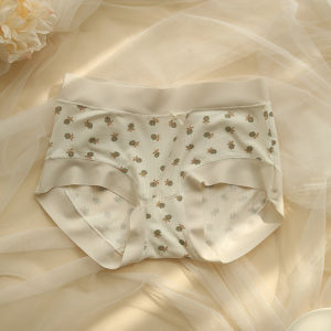 Personal Diary Soft Plaid Modal Young Adult Floral Simple and Seamless Underwear Womens Thin Low Waist Elastic