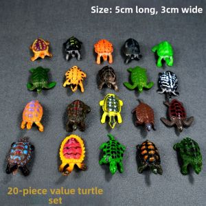 Realistic Turtle Educational Toy Plastic