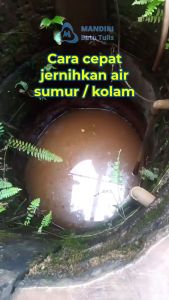 Tawas Bubuk Kristal KUDA BINTANG Penjernih Air Serbuk Batu Kecil 1kg