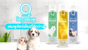 O2 Shampoo สุนัข สูตรกำจัดยีสต์และรา กลิ่นหอมนาน สำหรับสุนัขทุกขนาด