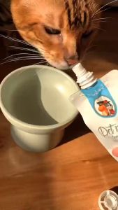 Cat Milk Susu Kucing Goat Milk For Cat Susu Kambing Kucing Susu Kucing Kambing Cat Snack Cat Treat Cat Treats For Kitten Puppy Cats Dogs Susu Kucing Goat Milk Powder Pet Multivitamin Probiotics Cats Kitten Dogs Susu Kucing Anak Kucing 宠物羊奶