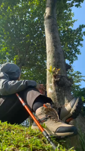 Sepatu Gunung Wanita SNTA 617 Beigebrown Hiking Shoes Waterproof Sport Trekking Camping Outdoor Ringan High Quality Anti Slip anti air olahraga luar ruangan