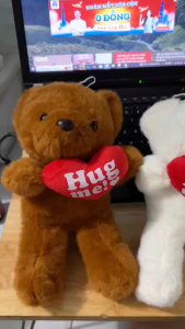 Thú nhồi bông teddy ôm tim hugme đáng yêu - Size 28cm - Quà tặng gấu Teddy lông mịn size mini cho bé