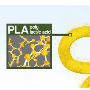 Polymaker Panchroma  PolyTerra PLA 1.75mm Matte PLA 3D Printing Filament FDM FFF 3D printer polymaker polyterra pla Polymaker Polyterra Pla Polyterra Pla Panchroma  Pla panchroma pla