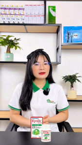 [Date 04/26] Viên Uống Bổ Não Kyolic Ginkgo Biloba Hỗ Trợ Tăng Tuần Hoàn Não Cải Thiện Trí Nhớ 120 Viên/Hộp