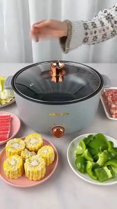 Multifunctional Electric Hot Pot: A Comprehensive Guide