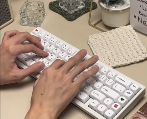 🇸🇬 [SG] WEIKAV NUT65 65% Custom Mechanical Keyboard Barebones Kit