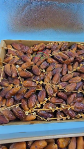 HiraMix Dates | Kurma Tangkai | Deglet Nour Loose | Tanpa Tangkai Fresh Stock 5kg Carton