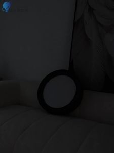 Designers Light | Eye-Care Round Ceiling Light Modern Nordic Black Study Room LED Light