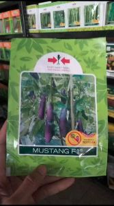 Benih Terong MUSTANG F1 1100 Butir Bibit Unggul Cap PANAH MERAH