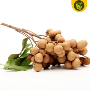 Longan Fruit 5 Seeds for Planting Outdoor Tree