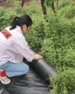10m/20m/50m/100m Degradable PP Woven Weeds Control Barrier Fabric Weeding Ground Cloth Cover Black Heavy Duty PP Landscape Mat Water Permeable Weeds Block Gardening Mat For Plant Anti Grass Agricultural Mulch Cloth Greenhouse Weeding Mat