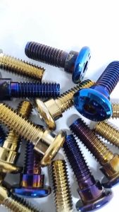 Baut disc cakram gepeng bintik stainless motor universal semua motor