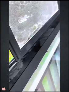 Window Screen Repair Kit – 5cm x 200cm Strong Adhesive Fiberglass Mesh Tape for Long-Lasting Screen Patching