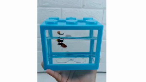 Hiasan Miniatur Tangki Ikan PVC - Blok Tangki Ikan - Tangki Ikan Kotak Kecil