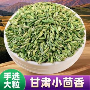 Edible Groundable Fennel Seeds 500g