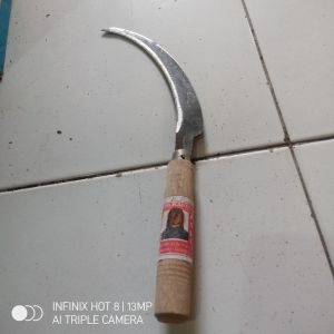 Arit Gergaji BERGERIGI potong Padi