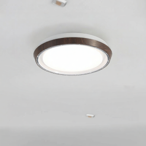DGY | Invisible Bladeless Fan Light Modern Home Dining Room Ceiling Fan