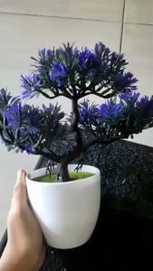 PT28 Pot Tanaman Hias Bunga Hias Plastik: Dekorasi Interior Rumah yang Cantik