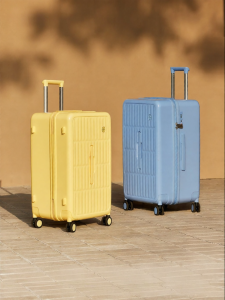 AJI | Password Protected Travel Luggage 24 Inch