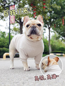 Customized Dog Clothes: A Guide to Autumn & Winter Dog Gear