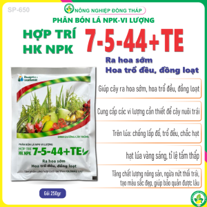 [COMBO 2 GÓI] Phân Bón Lá Cây HK NPK 7-5-44+TE Hiệu Quả - Phục Hồi Và Bổ Sung Vật Chất Gói 250g