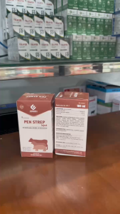 PEN STREP inject chai 100ml hỗ trợ bảo vệ vất nuôi penstrep tác dụng kép dài 72 giờ