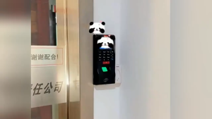 Máy Chấm Công Khuôn Mặt và Vân Tay Biometric Attendance Fast Pro FA03H (hỗ trợ tiếng Việt tặng kèm USB) ⚜️Home and Garden⚜️