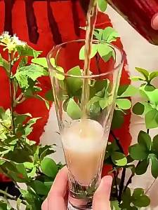 Natural Sugar-free Apple Cider Vinegar Beverage
