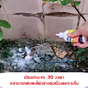 ยาฆ่า ปลวก 50 ปี การยกรัง 100% น้ำยากำจัด ไม่มีผลก็คืนเงิน ผลลัพธ์ การยกรัง ใช้ครั้งเดียว ปลวกทั้งรัง เหมาะสำหรับมด ใช้ครั้งแรก