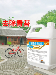 Chất Tẩy Rong Rêu Xanh