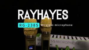 RAYHAYES Wireless Microphone Dual Handheld UHF Karaoke Stable Signal for Karaoke Performance