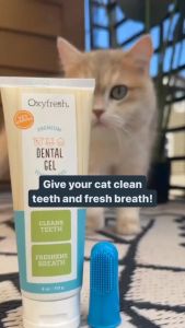 Oxyfresh® Pet Dental Gel - Cat Toothpaste Dog Toothpaste Ulcer | Ubat Gigi Kucing (28g/113g)