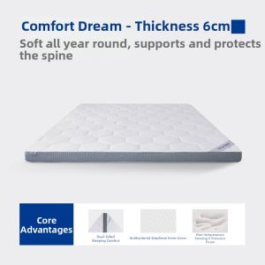 Pressure-Free Memory Foam Mattress
