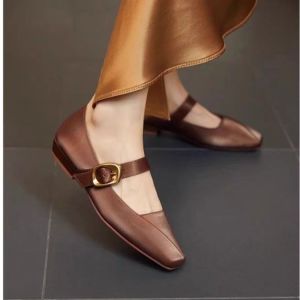 Spring and Autumn Square Heel Pumps Are Versatile Low Heels Trendy Temperament Silk Square Toe Mary Jane Women's Shoes