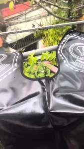 Khăn choàng cắt nhuộm tóc vào hoá chất - Áo choàng khi nhuộm hóa chất chống nước chuyên nghiệp