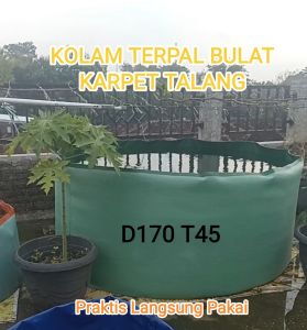 Kolam Terpal Karpet Talang D170 T45 Bahan A20 Korea Praktis Langsung Pakai