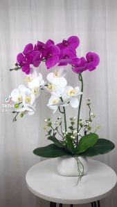 Chậu hoa giả lan hồ điệp để bàn 2 nhánh cao 60cm trang trí nhà cửa bàn làm việc kệ tủ siêu đẹp CL2