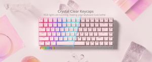 WOMIER 118 Key Pink Jelly Round Top Print Keycaps Ice Crystal Translucent OEM Profile Key cap for Cherry MX 61 68 104 Mechanical Keyboard